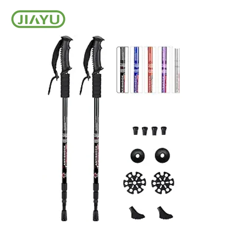 Attività di montagna Trekking Pole